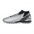 SOBEK Silver