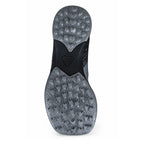SOBEK Silver