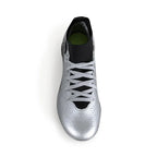 SOBEK Silver