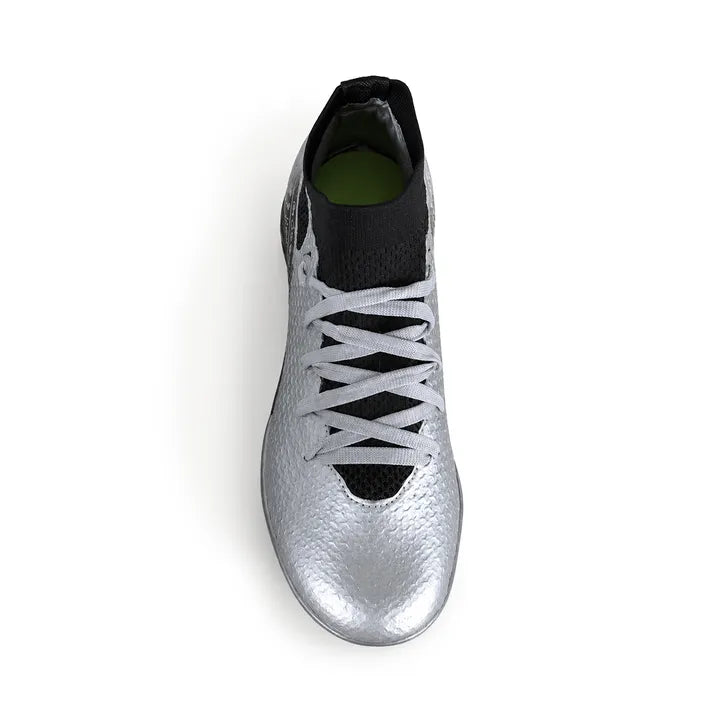 SOBEK Silver
