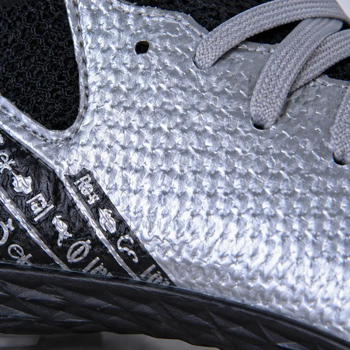 SOBEK Silver